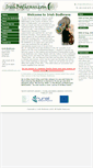 Mobile Screenshot of irishbodhrans.com